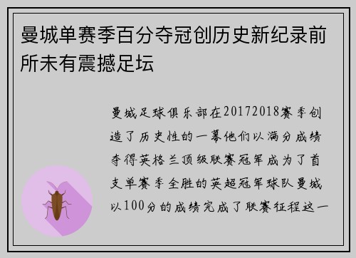 曼城单赛季百分夺冠创历史新纪录前所未有震撼足坛